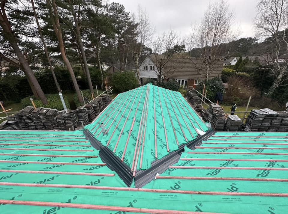 Image gallery slide 3