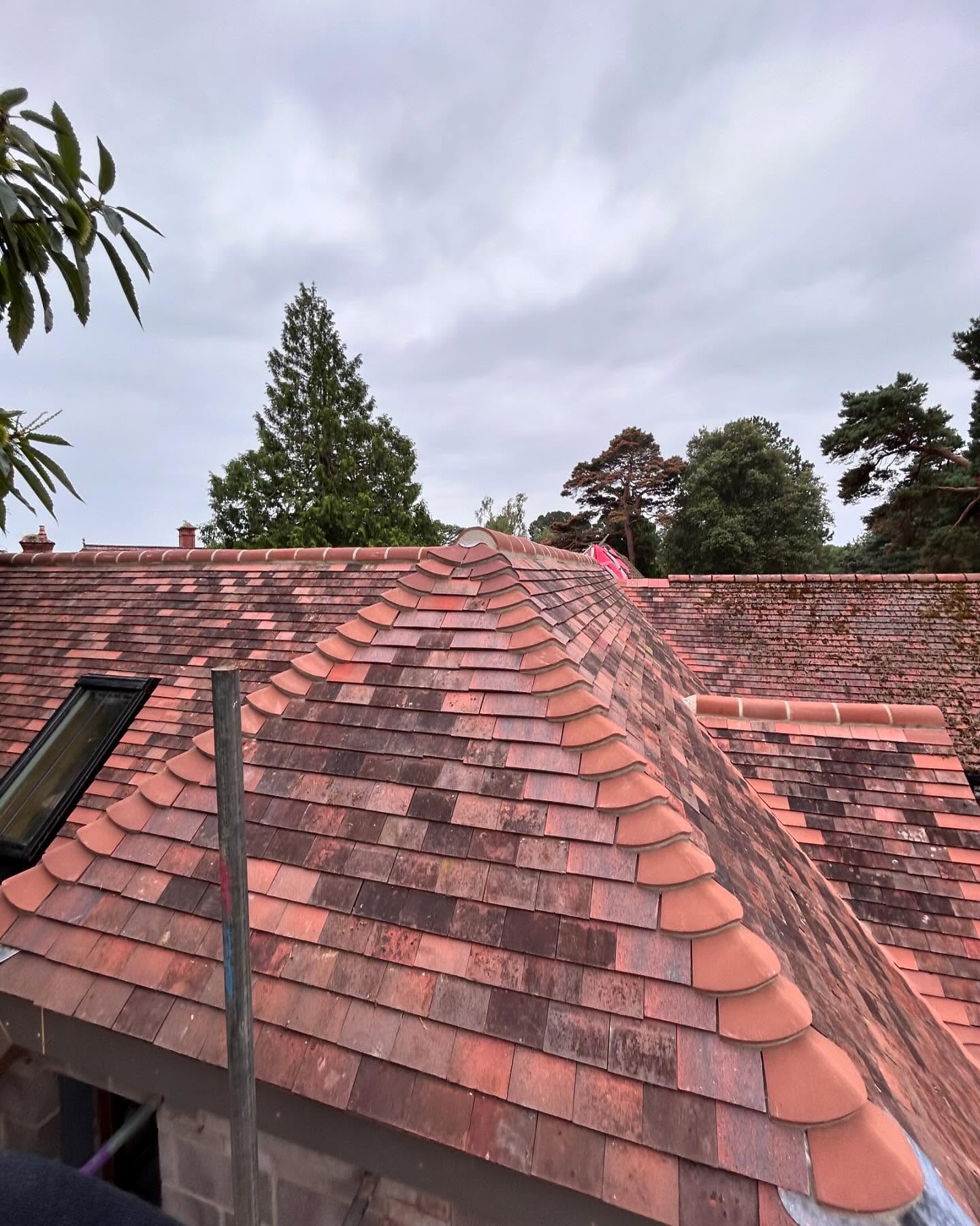 Image gallery slide 8