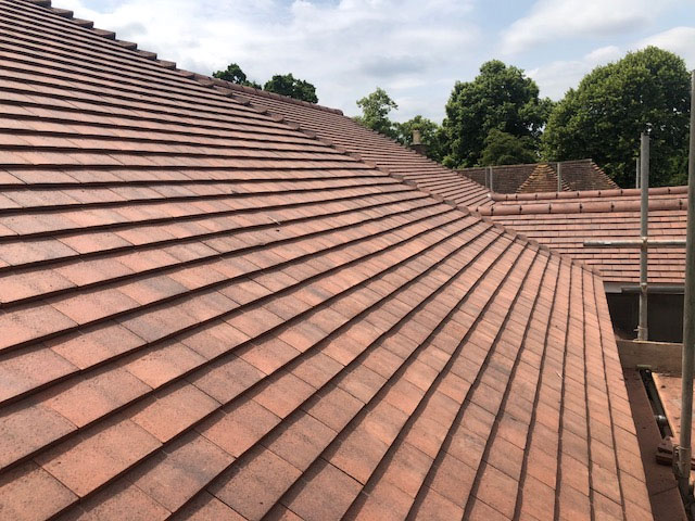 Image gallery slide 5