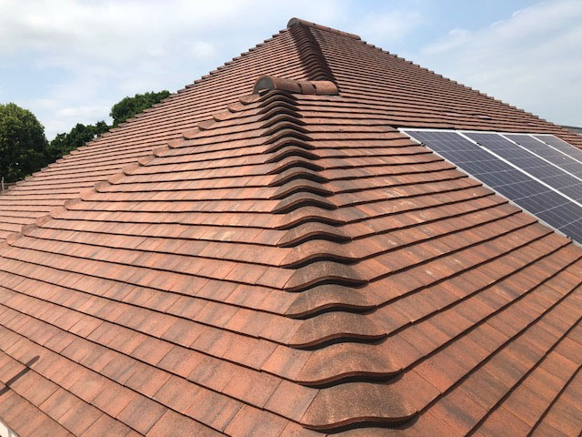 Image gallery slide 6